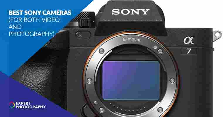 A Complete Buying Guide to Sony Mirrorless Cameras