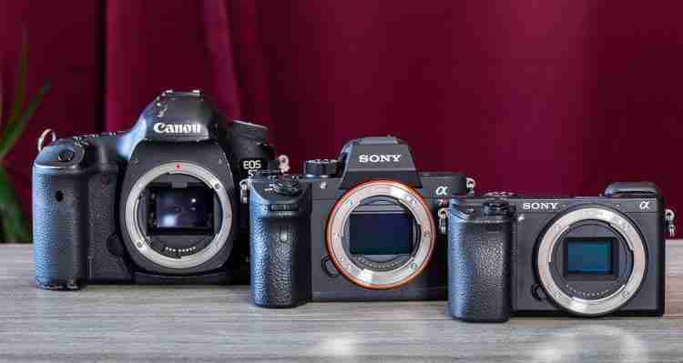 Canon mirrorless versus Sony?