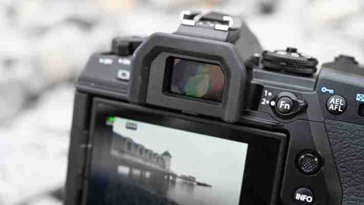 Olympus OM-D E-M1X review: A beastly Micro Four Thirds camera for action shooters