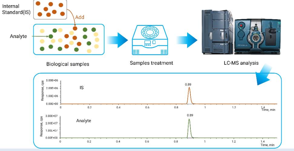 Why Internal Standards Matter in Drug Development