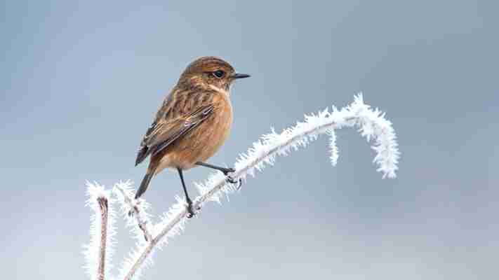 Capture the Winter action – Better photography at home and away